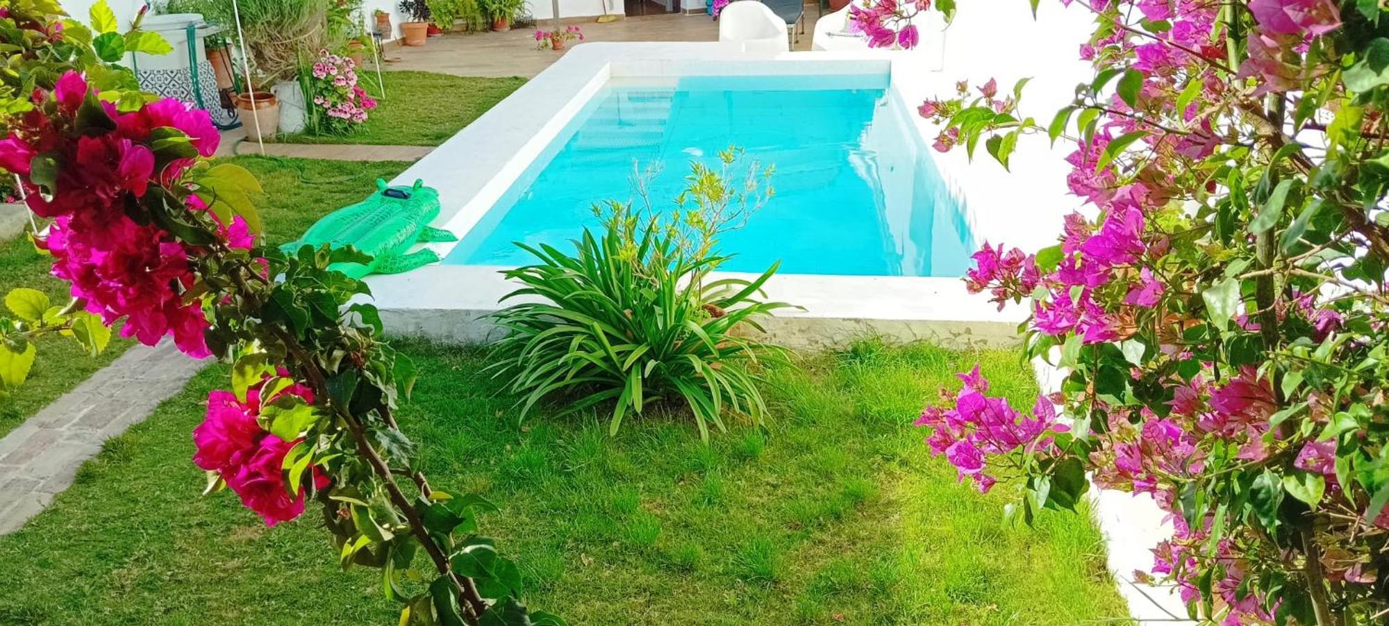 Casa Con Piscina Cerca De Sevilla Carrion de Los Cespedes Екстер'єр фото